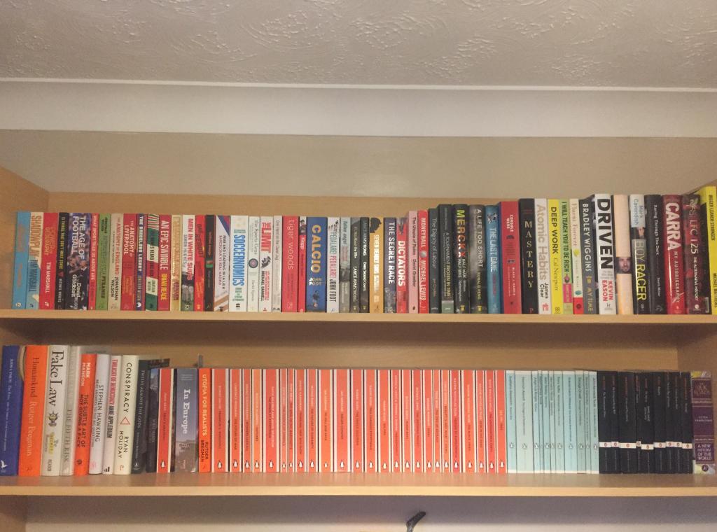 my other bookcase with two long shelves of books