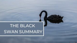 the black swan summary
